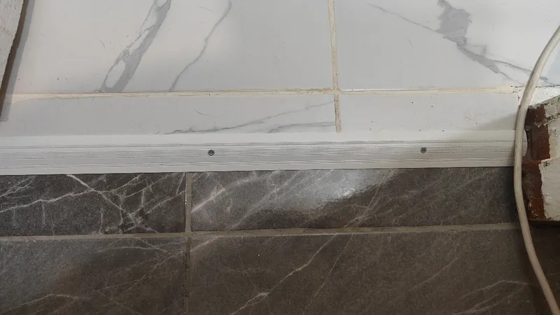 Порог разноуровневый ПР 04.2700.2105 Дуб арктик