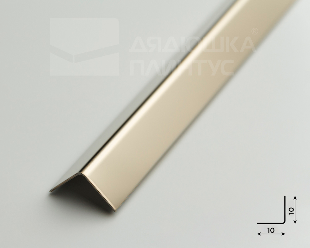 Профиль окантовочный ПУ 10НСЗ(304).2700.042 2,7 м Шампань