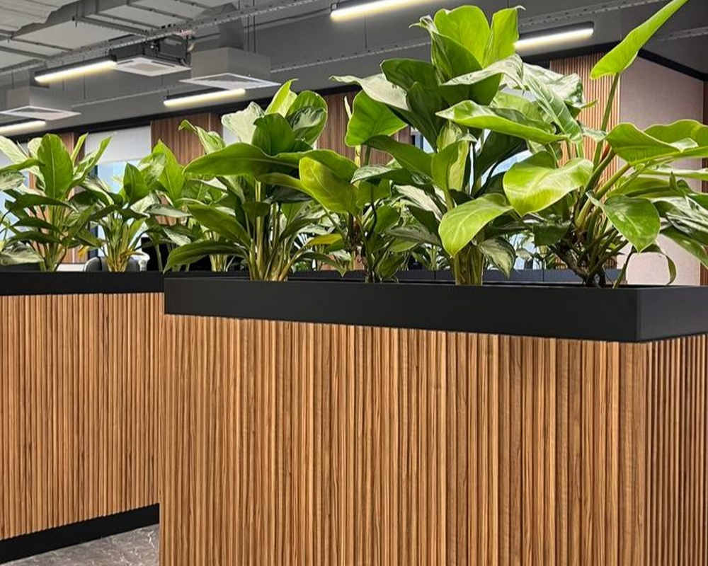 Панель МДФ ACUPAN 61.08.122505.92 зубья 12х122х2760 мм Орех светлый